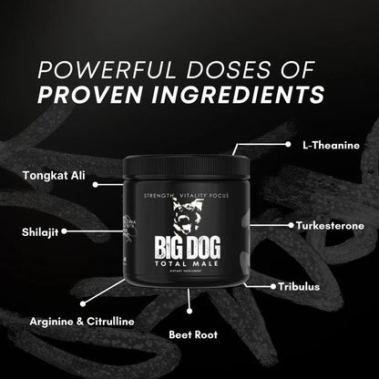 Big Dog